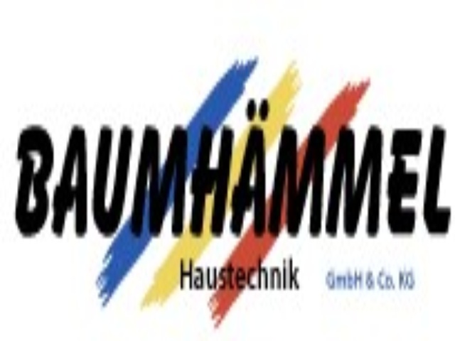 Logo Firma Baumhämmel